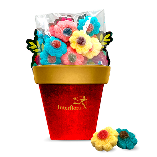 Flower pot gummy