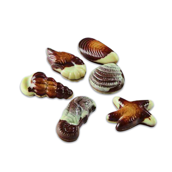 Chocolats belges aux fruits de mer