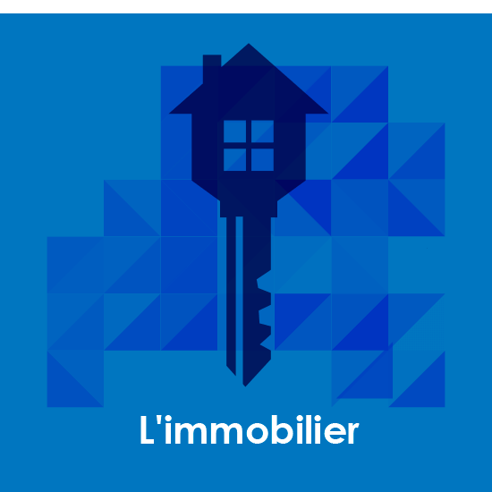 L´immobilier
