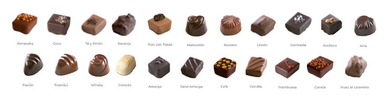 Assortment of artisan chocolates